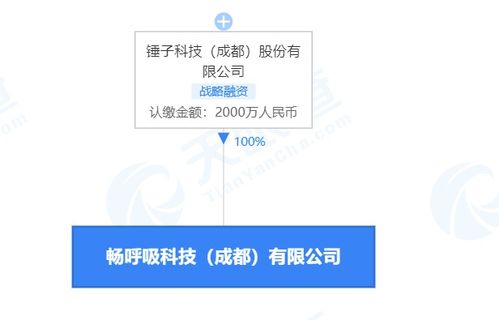 錘子科技關(guān)聯(lián)公司與溫洪喜遭消費(fèi)限制 軟件及輔助設(shè)備業(yè)務(wù)前景生變